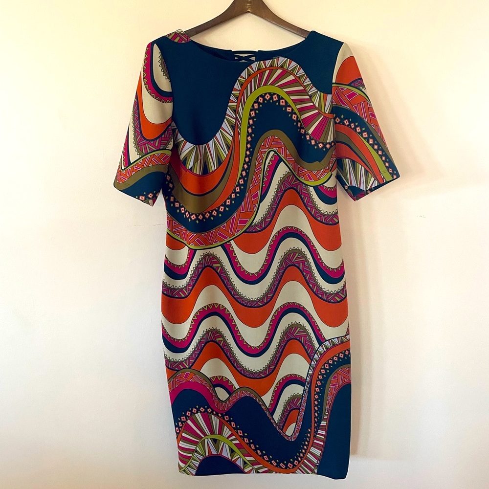 Fun Dress- great design!  So many possibilities!